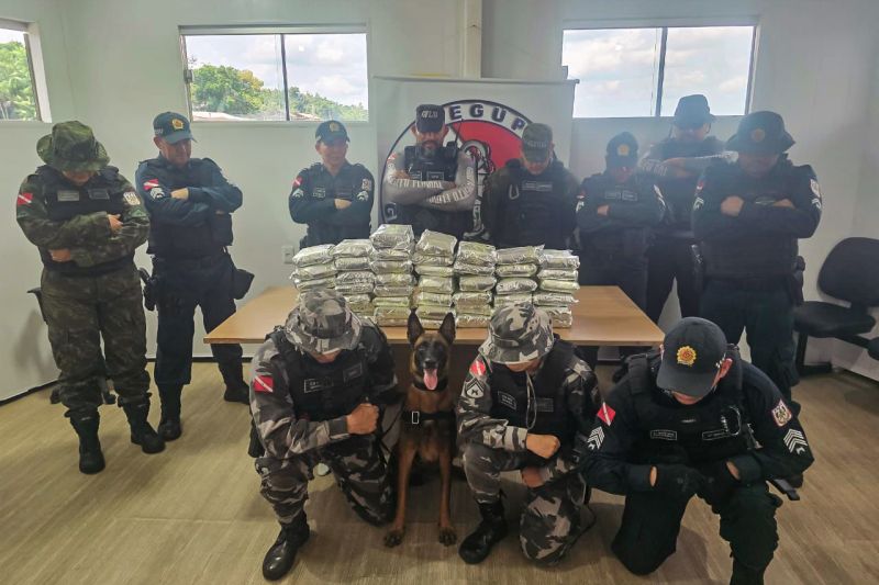  <div class='credito_fotos'>Foto: Divulgação &nbsp;&nbsp;|&nbsp;&nbsp; <a href='/midias/2024/originais/21179_2376750b-abad-7223-ab6b-c16e51866bdc.jpg' download><i class='fa-solid fa-download'></i> Download</a></div>