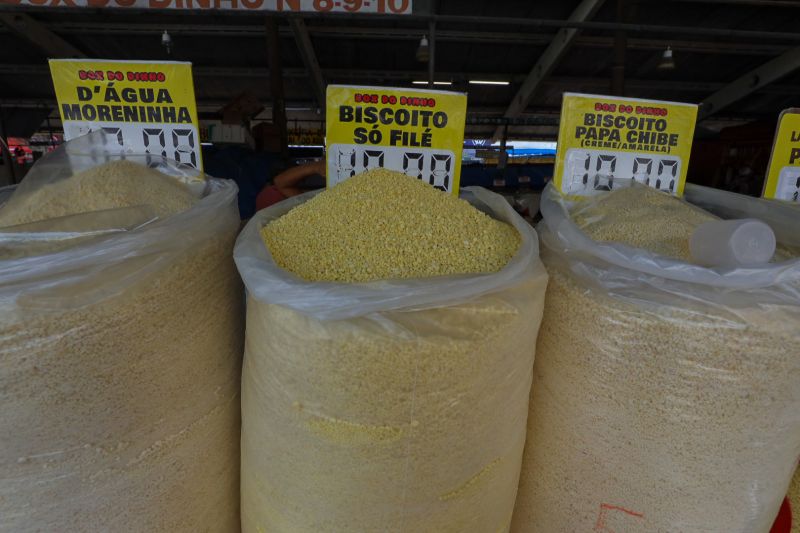  <div class='credito_fotos'>Foto: Alex Ribeiro / Ag. Pará &nbsp;&nbsp;|&nbsp;&nbsp; <a href='/midias/2024/originais/21218_16155be4-cda0-e1b6-b85a-3f08d0295495.jpg' download><i class='fa-solid fa-download'></i> Download</a></div>