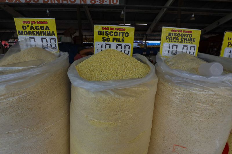  <div class='credito_fotos'>Foto: Alex Ribeiro / Ag. Pará &nbsp;&nbsp;|&nbsp;&nbsp; <a href='/midias/2024/originais/21218_e2490024-570b-6c7c-ebe8-371bdd656028.jpg' download><i class='fa-solid fa-download'></i> Download</a></div>