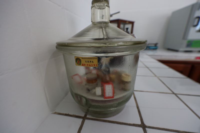  <div class='credito_fotos'>Foto: Bruno Cruz / Ag. Pará &nbsp;&nbsp;|&nbsp;&nbsp; <a href='/midias/2024/originais/21246_08729a03-aeb5-ddd4-7678-b7e4201d44ae.jpg' download><i class='fa-solid fa-download'></i> Download</a></div>