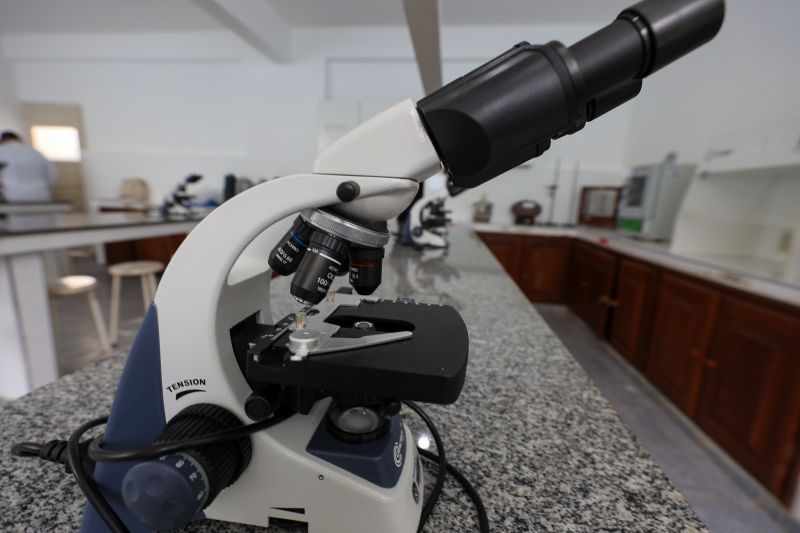  <div class='credito_fotos'>Foto: Bruno Cruz / Ag. Pará &nbsp;&nbsp;|&nbsp;&nbsp; <a href='/midias/2024/originais/21246_0dcd18cb-bc03-8689-dd9b-e50228cf9996.jpg' download><i class='fa-solid fa-download'></i> Download</a></div>