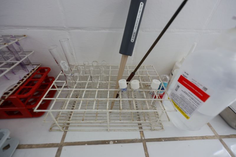  <div class='credito_fotos'>Foto: Bruno Cruz / Ag. Pará &nbsp;&nbsp;|&nbsp;&nbsp; <a href='/midias/2024/originais/21246_0fffdff9-9ca0-31c9-b205-48f3a4b789e6.jpg' download><i class='fa-solid fa-download'></i> Download</a></div>