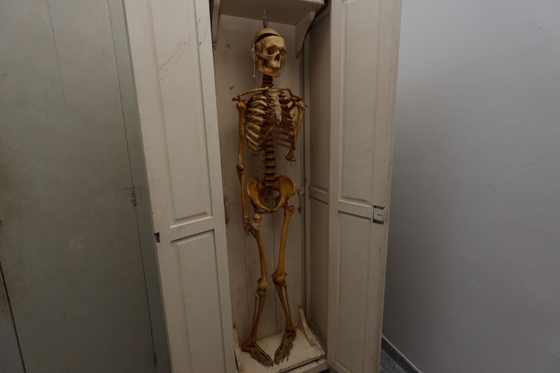  <div class='credito_fotos'>Foto: Bruno Cruz / Ag. Pará &nbsp;&nbsp;|&nbsp;&nbsp; <a href='/midias/2024/originais/21246_1463f1c7-dcfc-d80e-954f-e862606984b3.jpg' download><i class='fa-solid fa-download'></i> Download</a></div>