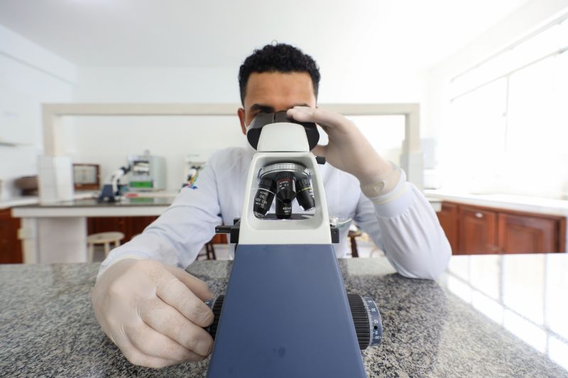  <div class='credito_fotos'>Foto: Bruno Cruz / Ag. Pará &nbsp;&nbsp;|&nbsp;&nbsp; <a href='/midias/2024/originais/21246_4df1e076-4eef-ad4c-6919-0afaacf3c93a.jpg' download><i class='fa-solid fa-download'></i> Download</a></div>