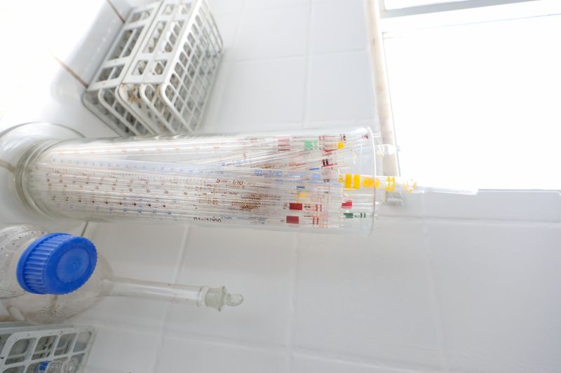  <div class='credito_fotos'>Foto: Bruno Cruz / Ag. Pará &nbsp;&nbsp;|&nbsp;&nbsp; <a href='/midias/2024/originais/21246_50eb1854-5cdd-2c8b-ede8-cdd0eff960af.jpg' download><i class='fa-solid fa-download'></i> Download</a></div>