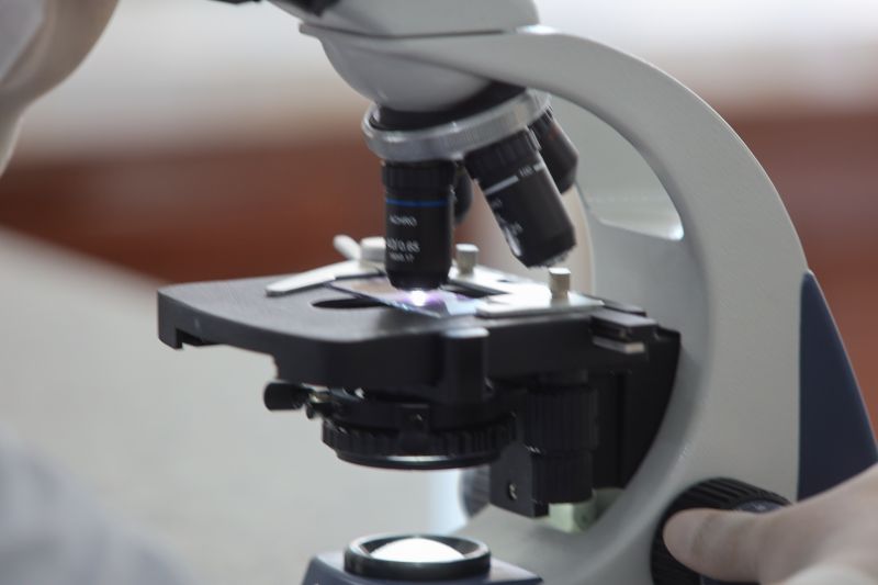  <div class='credito_fotos'>Foto: Bruno Cruz / Ag. Pará &nbsp;&nbsp;|&nbsp;&nbsp; <a href='/midias/2024/originais/21246_77dee797-f1d5-8c5a-ca20-d334dd3d466c.jpg' download><i class='fa-solid fa-download'></i> Download</a></div>