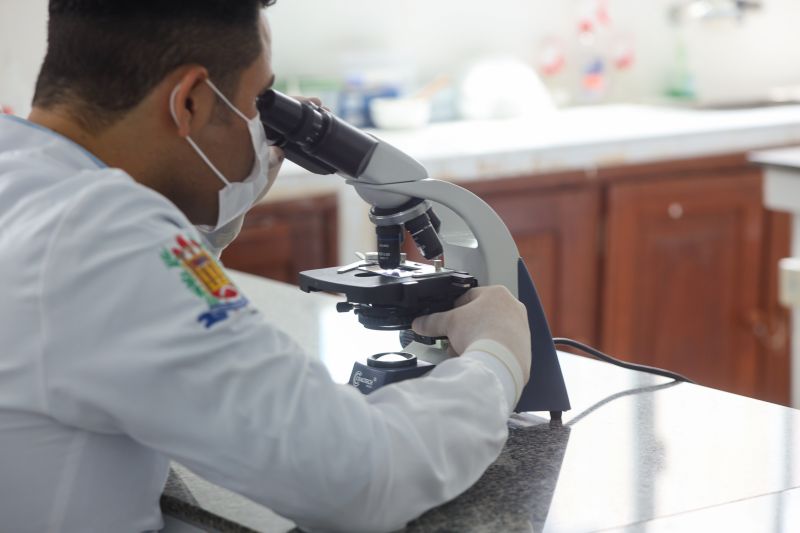  <div class='credito_fotos'>Foto: Bruno Cruz / Ag. Pará &nbsp;&nbsp;|&nbsp;&nbsp; <a href='/midias/2024/originais/21246_7e157c0f-e622-c634-a2fb-82f8bb90d615.jpg' download><i class='fa-solid fa-download'></i> Download</a></div>