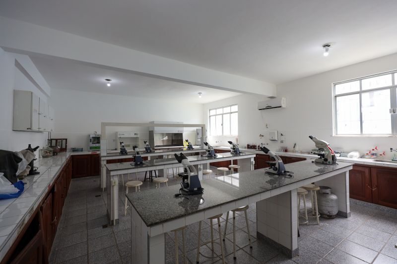  <div class='credito_fotos'>Foto: Bruno Cruz / Ag. Pará &nbsp;&nbsp;|&nbsp;&nbsp; <a href='/midias/2024/originais/21246_890d1a0c-fa2d-fad0-e906-e6d36927affc.jpg' download><i class='fa-solid fa-download'></i> Download</a></div>