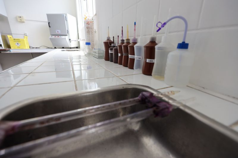  <div class='credito_fotos'>Foto: Bruno Cruz / Ag. Pará &nbsp;&nbsp;|&nbsp;&nbsp; <a href='/midias/2024/originais/21246_8afbe406-89ab-0e8a-a8e4-0722fcd8078a.jpg' download><i class='fa-solid fa-download'></i> Download</a></div>