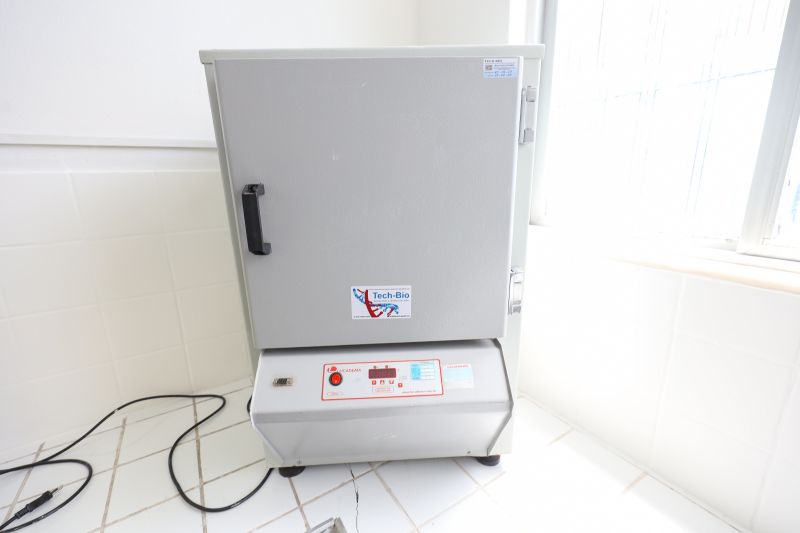  <div class='credito_fotos'>Foto: Bruno Cruz / Ag. Pará &nbsp;&nbsp;|&nbsp;&nbsp; <a href='/midias/2024/originais/21246_93556b4f-5525-1785-c442-727a7c83c9d9.jpg' download><i class='fa-solid fa-download'></i> Download</a></div>