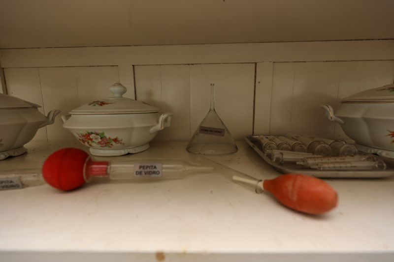  <div class='credito_fotos'>Foto: Bruno Cruz / Ag. Pará &nbsp;&nbsp;|&nbsp;&nbsp; <a href='/midias/2024/originais/21246_a7d0ab0a-7605-10ad-4139-8a77748d6dac.jpg' download><i class='fa-solid fa-download'></i> Download</a></div>