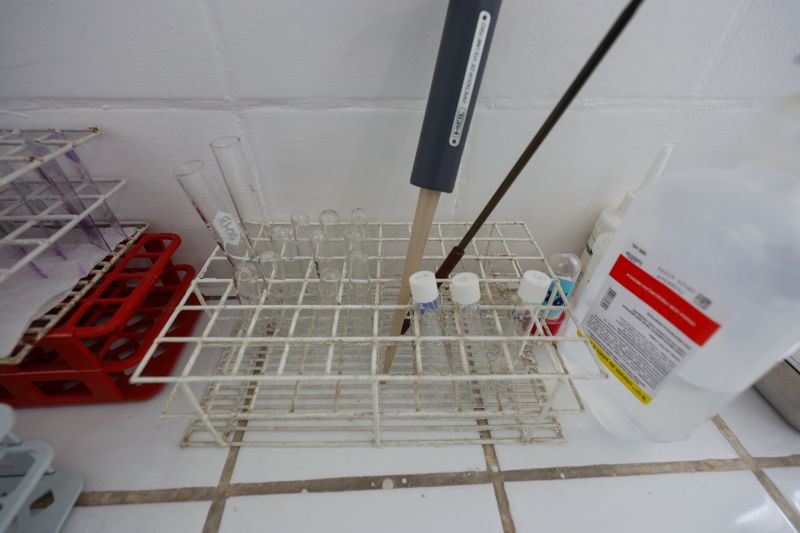  <div class='credito_fotos'>Foto: Bruno Cruz / Ag. Pará &nbsp;&nbsp;|&nbsp;&nbsp; <a href='/midias/2024/originais/21246_f7ca6ed4-5d1c-f6e0-3aa0-a0ef3ea0ae93.jpg' download><i class='fa-solid fa-download'></i> Download</a></div>