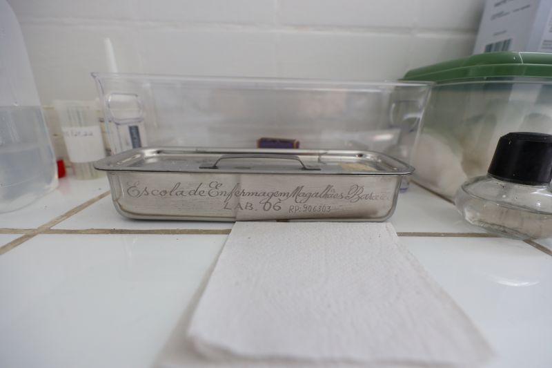  <div class='credito_fotos'>Foto: Bruno Cruz / Ag. Pará &nbsp;&nbsp;|&nbsp;&nbsp; <a href='/midias/2024/originais/21246_fc522b3f-67d6-bc1b-8f01-af10a97038b2.jpg' download><i class='fa-solid fa-download'></i> Download</a></div>