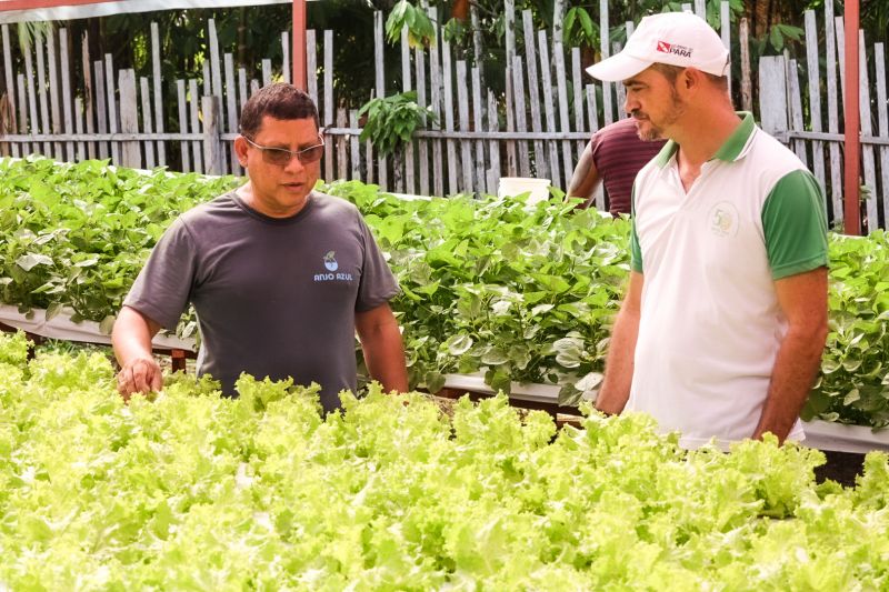  <div class='credito_fotos'>Foto: Alex Ribeiro / Ag. Pará &nbsp;&nbsp;|&nbsp;&nbsp; <a href='/midias/2024/originais/21255_0476e922-e872-69e6-fd03-7325faae93d9.jpg' download><i class='fa-solid fa-download'></i> Download</a></div>