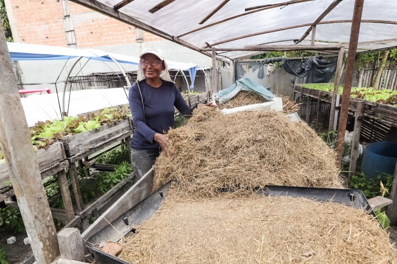 Tereza Cristina <div class='credito_fotos'>Foto: Alex Ribeiro / Ag. Pará &nbsp;&nbsp;|&nbsp;&nbsp; <a href='/midias/2024/originais/21255_07424e9f-d640-3cb4-bb78-c916611ed00c.jpg' download><i class='fa-solid fa-download'></i> Download</a></div>
