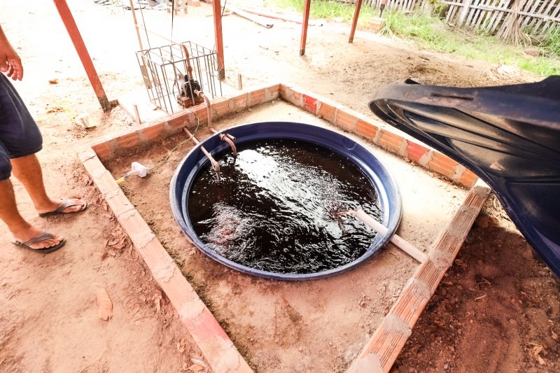  <div class='credito_fotos'>Foto: Alex Ribeiro / Ag. Pará &nbsp;&nbsp;|&nbsp;&nbsp; <a href='/midias/2024/originais/21255_15d669be-c0d4-8f7a-10cd-4ba52932112e.jpg' download><i class='fa-solid fa-download'></i> Download</a></div>