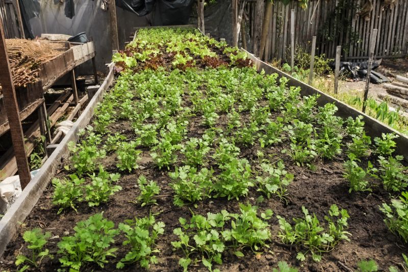  <div class='credito_fotos'>Foto: Alex Ribeiro / Ag. Pará &nbsp;&nbsp;|&nbsp;&nbsp; <a href='/midias/2024/originais/21255_413be868-d974-0001-e659-c183e16e8f1e.jpg' download><i class='fa-solid fa-download'></i> Download</a></div>