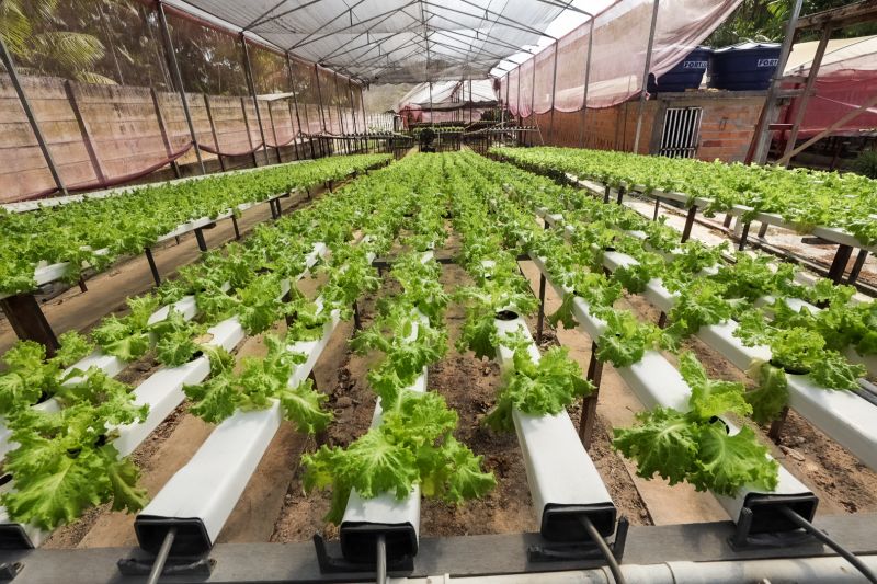  <div class='credito_fotos'>Foto: Alex Ribeiro / Ag. Pará &nbsp;&nbsp;|&nbsp;&nbsp; <a href='/midias/2024/originais/21255_4d10456d-9f9c-b933-b5ff-72065120d693.jpg' download><i class='fa-solid fa-download'></i> Download</a></div>