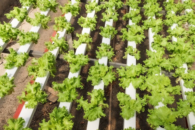  <div class='credito_fotos'>Foto: Alex Ribeiro / Ag. Pará &nbsp;&nbsp;|&nbsp;&nbsp; <a href='/midias/2024/originais/21255_6cc77306-71bc-ecc3-ad31-639fb8f3bddf.jpg' download><i class='fa-solid fa-download'></i> Download</a></div>