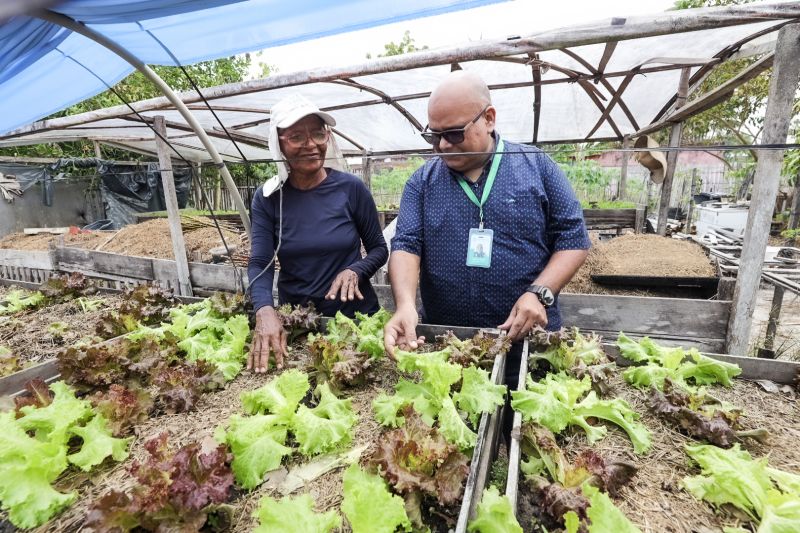 <div class='credito_fotos'>Foto: Alex Ribeiro / Ag. Pará &nbsp;&nbsp;|&nbsp;&nbsp; <a href='/midias/2024/originais/21255_7b744e2f-fb49-6408-74a5-af5d348f6338.jpg' download><i class='fa-solid fa-download'></i> Download</a></div>