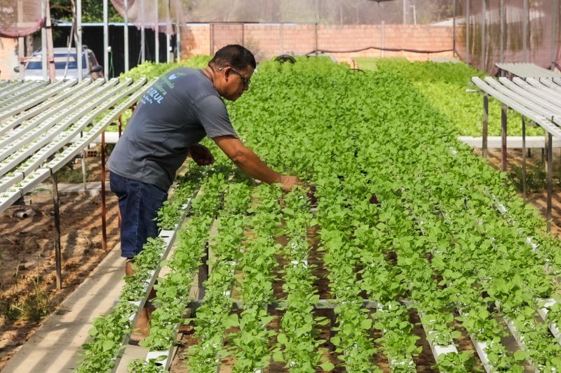  <div class='credito_fotos'>Foto: Alex Ribeiro / Ag. Pará &nbsp;&nbsp;|&nbsp;&nbsp; <a href='/midias/2024/originais/21255_b2a1bbd9-c928-8446-6704-f85475568fc6.jpg' download><i class='fa-solid fa-download'></i> Download</a></div>