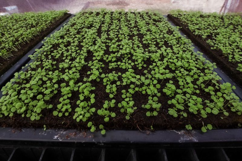  <div class='credito_fotos'>Foto: Alex Ribeiro / Ag. Pará &nbsp;&nbsp;|&nbsp;&nbsp; <a href='/midias/2024/originais/21255_cb53fc6f-fd75-78f0-1e37-14788e859a97.jpg' download><i class='fa-solid fa-download'></i> Download</a></div>