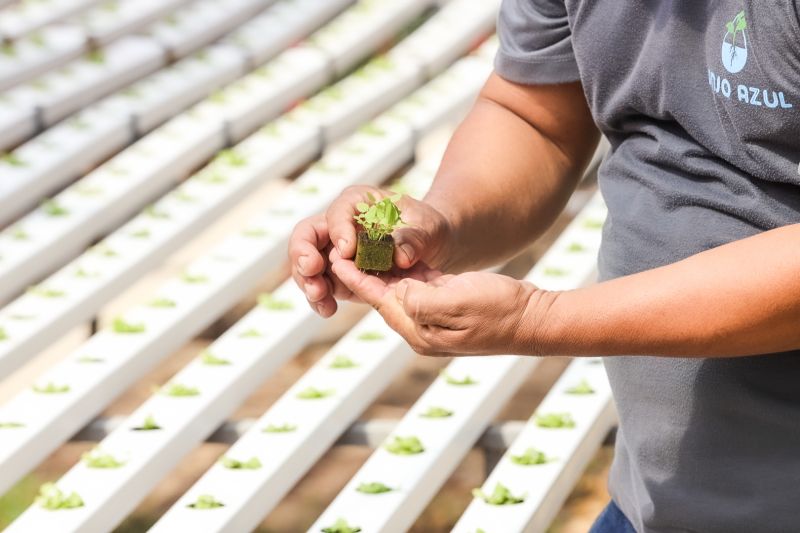  <div class='credito_fotos'>Foto: Alex Ribeiro / Ag. Pará &nbsp;&nbsp;|&nbsp;&nbsp; <a href='/midias/2024/originais/21255_d08d9e63-9de9-8e12-698e-3fadc3c1ab54.jpg' download><i class='fa-solid fa-download'></i> Download</a></div>