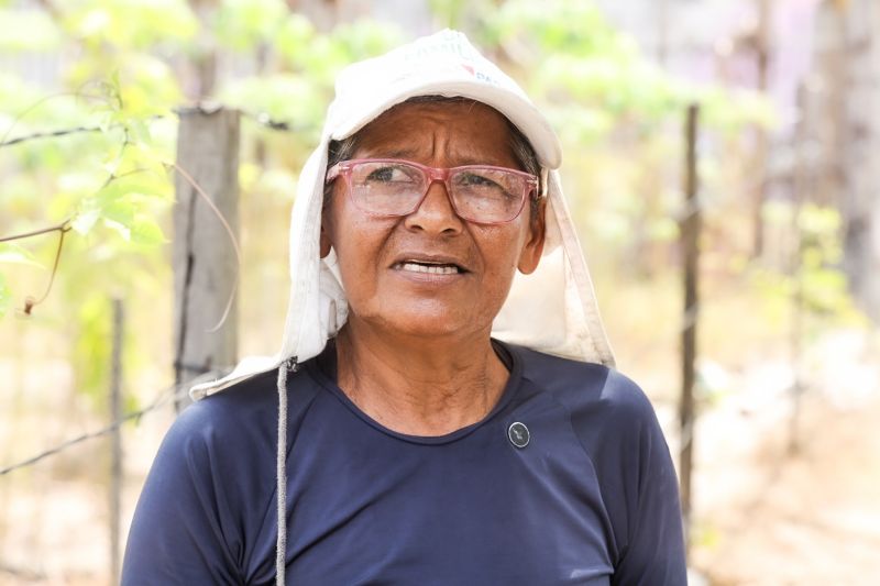 Tereza Cristina <div class='credito_fotos'>Foto: Alex Ribeiro / Ag. Pará &nbsp;&nbsp;|&nbsp;&nbsp; <a href='/midias/2024/originais/21255_ee9d082d-43e7-a54a-d65c-2a50aa2a6b5a.jpg' download><i class='fa-solid fa-download'></i> Download</a></div>