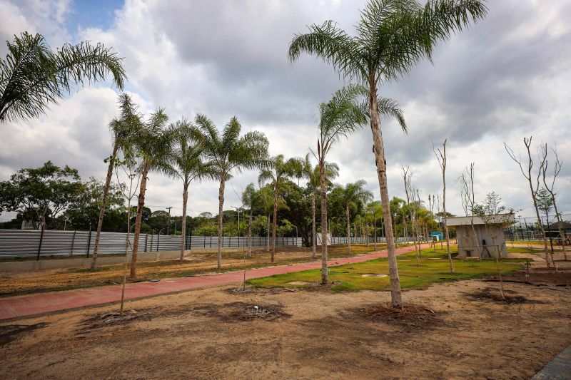  <div class='credito_fotos'>Foto: Rodrigo Pinheiro / Ag.Pará &nbsp;&nbsp;|&nbsp;&nbsp; <a href='/midias/2024/originais/21280_ec07f143-4c6e-354c-749e-3f1268a26caa.jpg' download><i class='fa-solid fa-download'></i> Download</a></div>