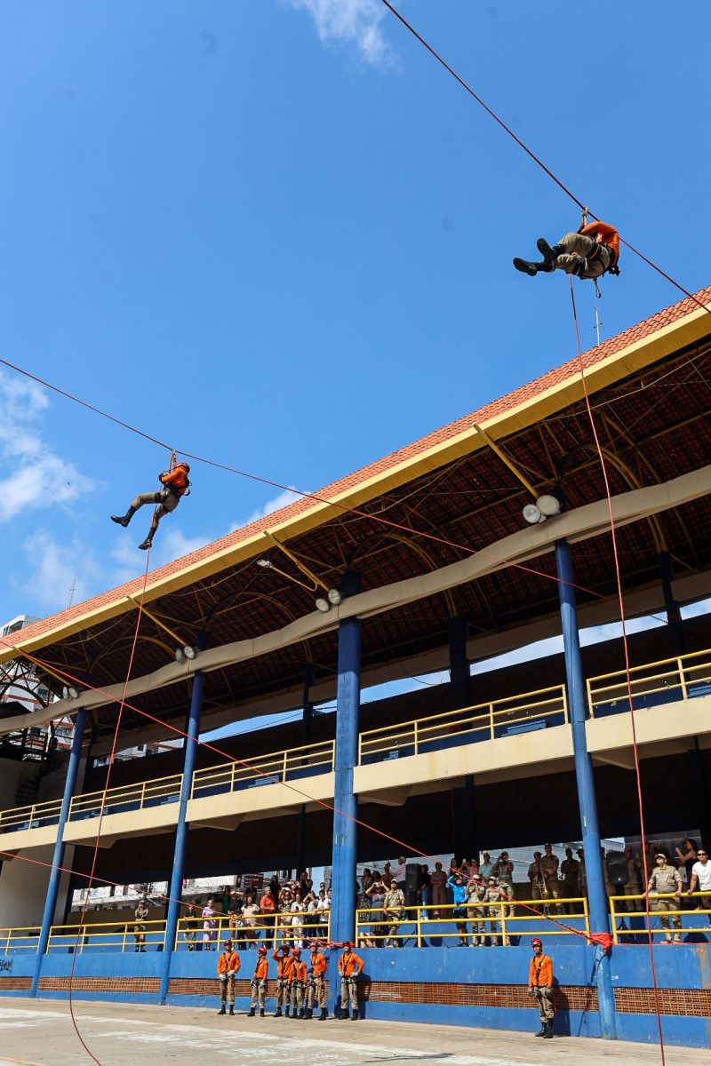  <div class='credito_fotos'>Foto: Bruno Cecim / Ag.Pará &nbsp;&nbsp;|&nbsp;&nbsp; <a href='/midias/2024/originais/21285_853e2099-5fa2-6b07-7c85-e9ed67342b56.jpg' download><i class='fa-solid fa-download'></i> Download</a></div>