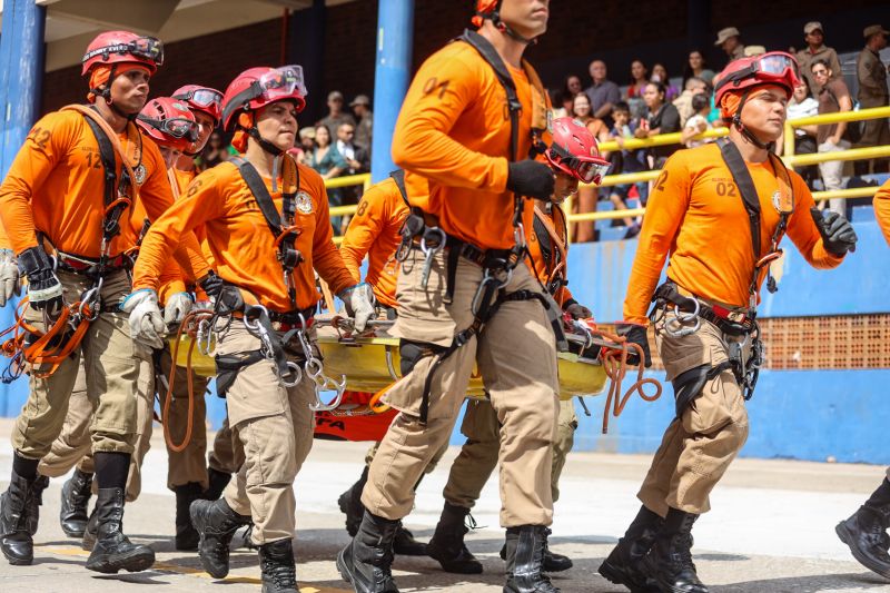  <div class='credito_fotos'>Foto: Bruno Cecim / Ag.Pará &nbsp;&nbsp;|&nbsp;&nbsp; <a href='/midias/2024/originais/21285_86324d3d-348b-475a-19fb-53445dcda622.jpg' download><i class='fa-solid fa-download'></i> Download</a></div>