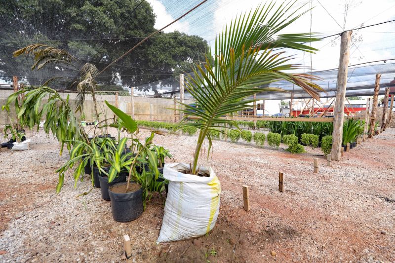  <div class='credito_fotos'>Foto: Marcelo Lelis / Ag. Pará &nbsp;&nbsp;|&nbsp;&nbsp; <a href='/midias/2024/originais/21345_218ea37d-bff7-a85e-129a-7a7a48087d7b.jpg' download><i class='fa-solid fa-download'></i> Download</a></div>