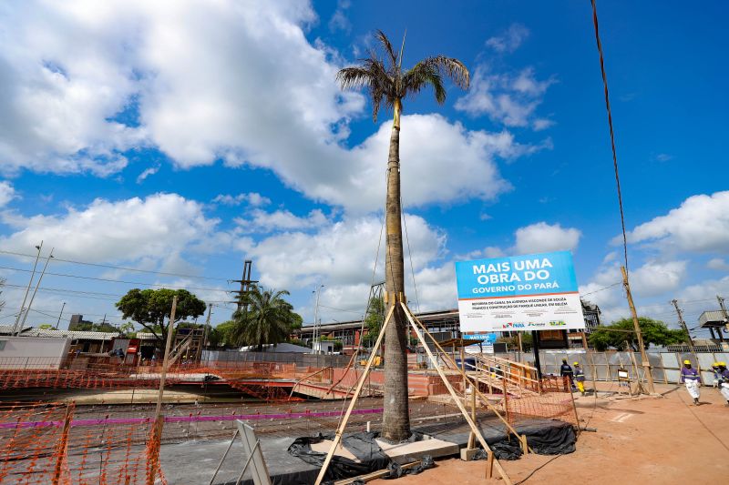  <div class='credito_fotos'>Foto: Marcelo Lelis / Ag. Pará &nbsp;&nbsp;|&nbsp;&nbsp; <a href='/midias/2024/originais/21345_3e19b973-943a-f385-b097-a3f5bb5e2eef.jpg' download><i class='fa-solid fa-download'></i> Download</a></div>