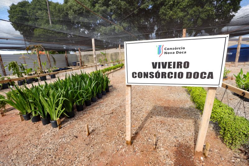  <div class='credito_fotos'>Foto: Marcelo Lelis / Ag. Pará &nbsp;&nbsp;|&nbsp;&nbsp; <a href='/midias/2024/originais/21345_a56bde48-ecc5-937e-98d2-d1b4fc3c1bde.jpg' download><i class='fa-solid fa-download'></i> Download</a></div>