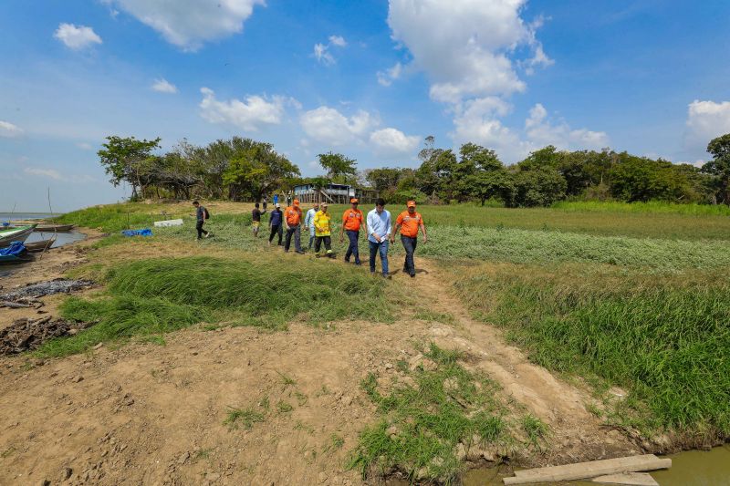  <div class='credito_fotos'>Foto: Marcelo Lelis / Ag. Pará &nbsp;&nbsp;|&nbsp;&nbsp; <a href='/midias/2024/originais/21357_2899a950-faa7-bfc5-dcea-137977d9d0f6.jpg' download><i class='fa-solid fa-download'></i> Download</a></div>