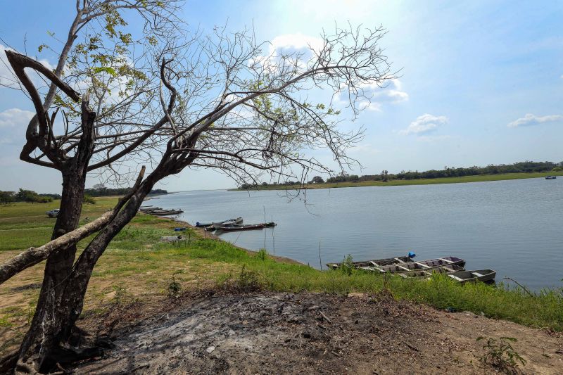  <div class='credito_fotos'>Foto: Marcelo Lelis / Ag. Pará &nbsp;&nbsp;|&nbsp;&nbsp; <a href='/midias/2024/originais/21357_edb6a252-6c7f-5ced-163d-96eb277afc5a.jpg' download><i class='fa-solid fa-download'></i> Download</a></div>