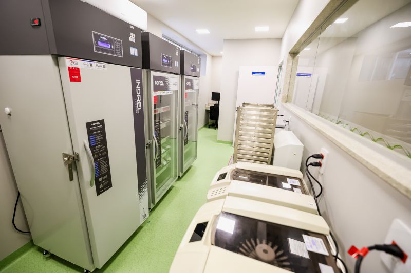  <div class='credito_fotos'>Foto: Marco Santos / Ag. Pará &nbsp;&nbsp;|&nbsp;&nbsp; <a href='/midias/2024/originais/21371_46aac8f5-ba14-a3ce-0171-47bc1788a550.jpg' download><i class='fa-solid fa-download'></i> Download</a></div>