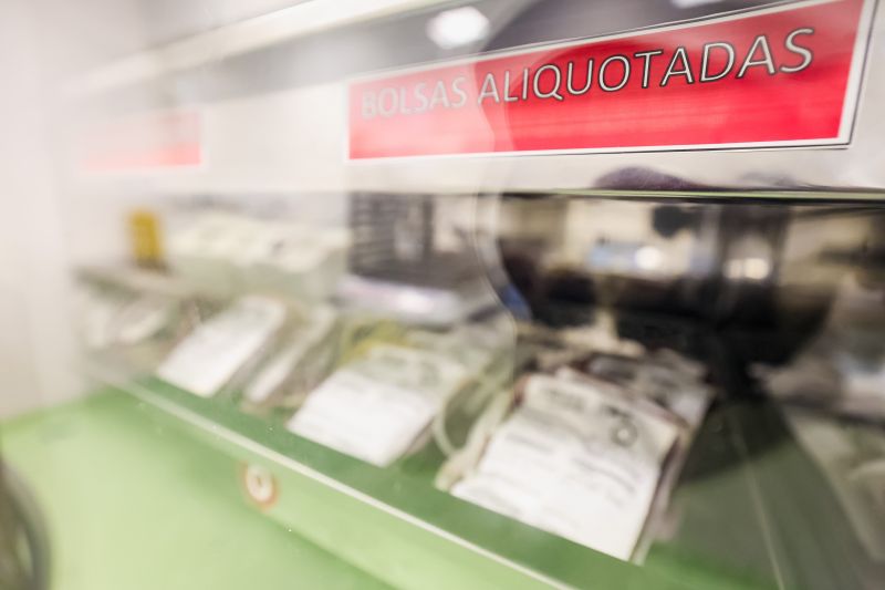  <div class='credito_fotos'>Foto: Marco Santos / Ag. Pará &nbsp;&nbsp;|&nbsp;&nbsp; <a href='/midias/2024/originais/21371_e184e345-e9a9-ff7a-68fa-b33368784356.jpg' download><i class='fa-solid fa-download'></i> Download</a></div>