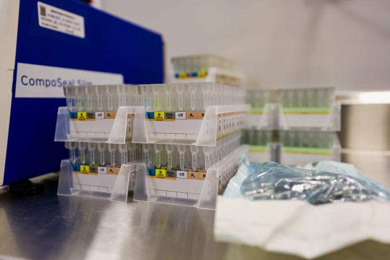  <div class='credito_fotos'>Foto: Marco Santos / Ag. Pará &nbsp;&nbsp;|&nbsp;&nbsp; <a href='/midias/2024/originais/21371_f1f89fca-14b8-d89f-c426-7470ebdbc184.jpg' download><i class='fa-solid fa-download'></i> Download</a></div>