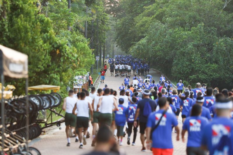  <div class='credito_fotos'>Foto: Rodrigo Pinheiro / Ag.Pará &nbsp;&nbsp;|&nbsp;&nbsp; <a href='/midias/2024/originais/21375_9a8f5d54-d4a7-4c84-9a31-82eeb8c19b48.jpg' download><i class='fa-solid fa-download'></i> Download</a></div>