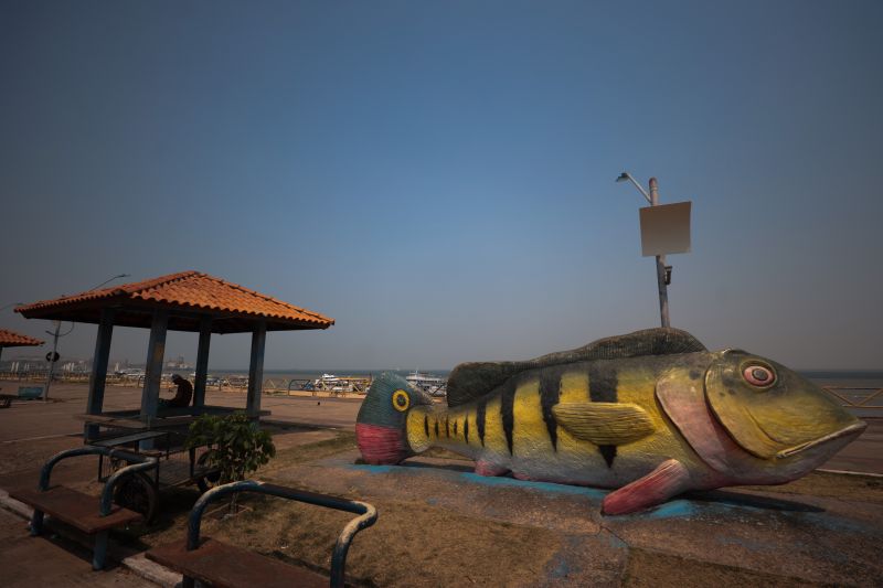  <div class='credito_fotos'>Foto: Marcelo Lelis / Ag. Pará &nbsp;&nbsp;|&nbsp;&nbsp; <a href='/midias/2024/originais/21376_6b6cdd1d-fdf2-f67e-9b35-43bb679175e1.jpg' download><i class='fa-solid fa-download'></i> Download</a></div>