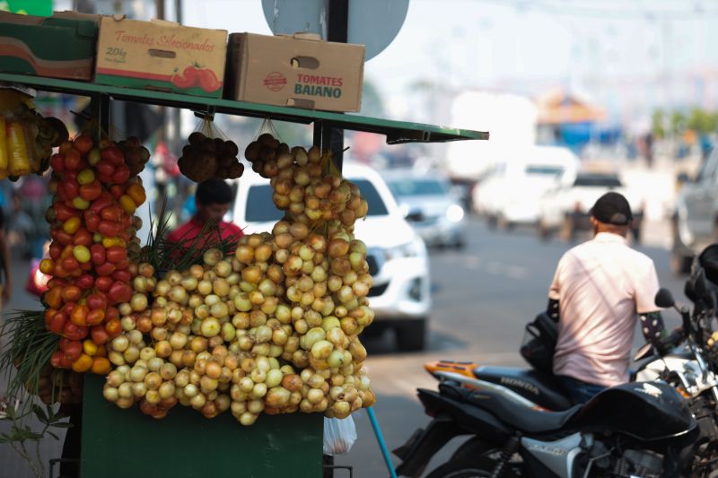  <div class='credito_fotos'>Foto: Marcelo Lelis / Ag. Pará &nbsp;&nbsp;|&nbsp;&nbsp; <a href='/midias/2024/originais/21376_b2ff75c1-0f22-aa77-a860-c8688bad1101.jpg' download><i class='fa-solid fa-download'></i> Download</a></div>