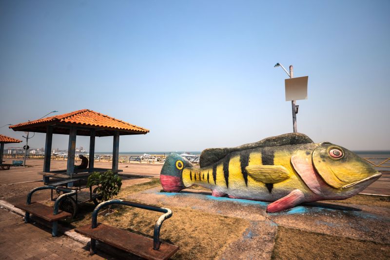  <div class='credito_fotos'>Foto: Marcelo Lelis / Ag. Pará &nbsp;&nbsp;|&nbsp;&nbsp; <a href='/midias/2024/originais/21376_d5161e67-8851-82a3-0934-22641e152b2a.jpg' download><i class='fa-solid fa-download'></i> Download</a></div>