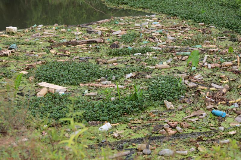  <div class='credito_fotos'>Foto: Bruno Cecim / Ag.Pará &nbsp;&nbsp;|&nbsp;&nbsp; <a href='/midias/2024/originais/22394_80759a50-8af7-a496-125e-00cdc34cf0f4.jpg' download><i class='fa-solid fa-download'></i> Download</a></div>