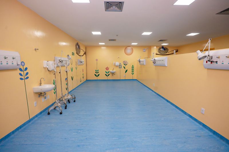  <div class='credito_fotos'>Foto: Bruno Cruz / Ag. Pará &nbsp;&nbsp;|&nbsp;&nbsp; <a href='/midias/2024/originais/22466_5ba3afbb-aadc-4b8d-3a1c-73febf4065e4.jpg' download><i class='fa-solid fa-download'></i> Download</a></div>