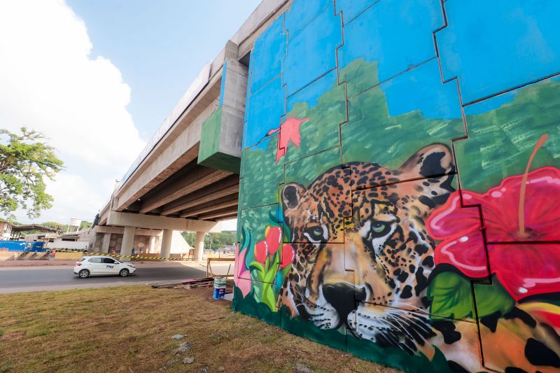 Crédito: Pedro Guerreiro / Ag. Pará