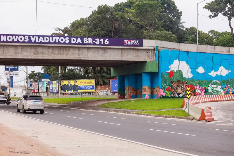  <div class='credito_fotos'>Foto: Bruno Cruz / Ag. Pará &nbsp;&nbsp;|&nbsp;&nbsp; <a href='/midias/2024/originais/22550_4b2acc7f-becc-6f41-558f-2b88987e831a.jpg' download><i class='fa-solid fa-download'></i> Download</a></div>