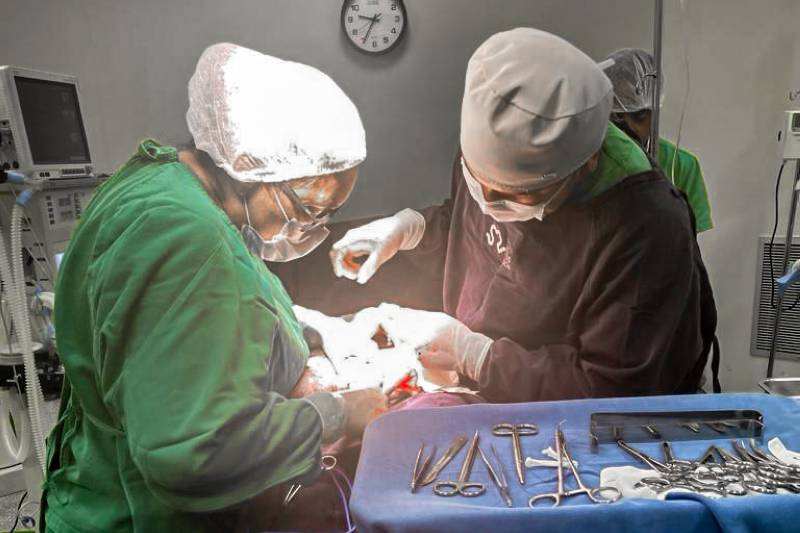 Crédito: Divulgação