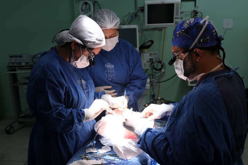 Crédito: Divulgação