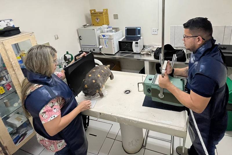 Crédito: Divulgação